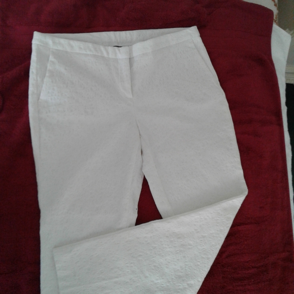Tapered Legged Pants
